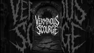 Verminous Scourge  Grindcore Goregrind Deathgrind noisegrind 2024metal deathmetalchannel [upl. by Naedan]