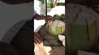 So big green coconut subscribe fruit coconut tropicalfruit [upl. by Nyledam823]