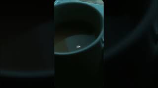 🤎قهوتي مره🤎 coffee explore قهوتي اكسبلور قهوة music [upl. by Allie]