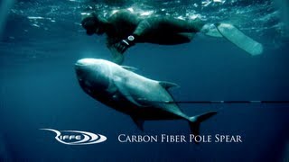 Spearfishing  Pole Spear Diaries II 70lb Ulua [upl. by Tareyn476]