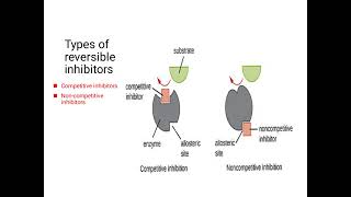 inhibitors and their types Lilac2197 [upl. by Leah]