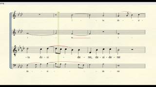 quotSicut Cervusquot by Palestrina tenor part [upl. by Pfister]