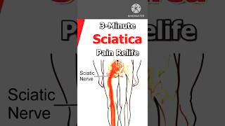 I Tested Sciatica Pain Relief Stretching Exercises [upl. by Cand972]