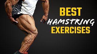 Best Hamstring Exercises  बेस्ट हैमस्ट्रिंग एक्सरसाइजेज  Yatinder Singh [upl. by Dyche688]