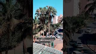 What’s Happening Umhlanga trending viralvideos umhlanga tourism shorts viralshorts durban 28 [upl. by Liahkim]