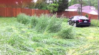 Soil Health  Raythesoilguys Cover crop roller for 110 acre garden [upl. by Anirdua]