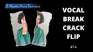 Smooth Out Vocal Break  FIX THE FLIPPING AND CRACKING IN YOUR PASSAGGIO [upl. by Charmine]