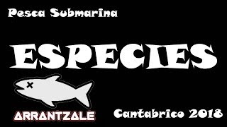 Pesca submarina ESPECIES cantabrico 2018 [upl. by Eintrok]