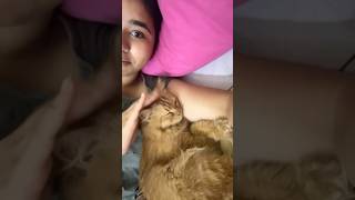 It became her favourite spot to sleep 😭💓🐱 comedy funny love [upl. by Elyrrad]