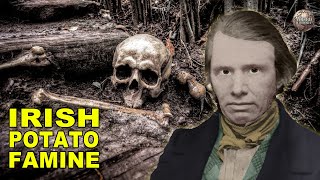 A Timeline Of The Potato Famine That Changed Ireland Forever [upl. by Letsirk]