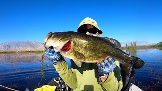 Bassin around the Owens Valley BONUS PB on the frog 👍👍 [upl. by Analram178]