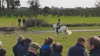 Killinick Bouncer Kildare Performance Show 2019 [upl. by Artus]