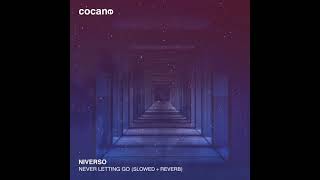 NIVERSO  Never Letting Go Slowed  Reverb [upl. by Zetnas]