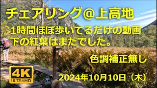 友人たちと上高地でハイキング＆チェアリング記 大正池、河童橋、明神橋、バスターミナルからの足湯 2024年10月10日（木） [upl. by Aronek]