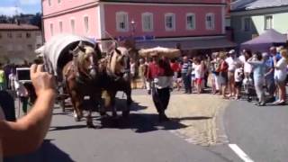 Säumerfest in Grafenau [upl. by Fidelia871]