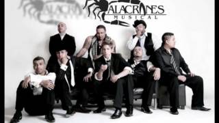 Alacranes Musical Zapateado Encabronado 2 [upl. by Kee]