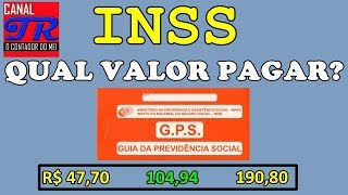 Tipos de Contribuições do INSS e Suas Vantagens [upl. by Rehpotsrik]