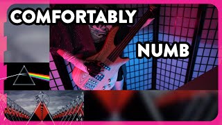 Pink Floyd  Comfortably Numb  Fretless Bass Playthrough [upl. by Retsek520]