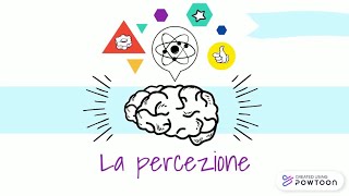 CERCHIAMO DI CAPIRE COSÈ LA PERCEZIONEIN 3 MINUTI  Brain in Training 🧠 [upl. by Zaslow]