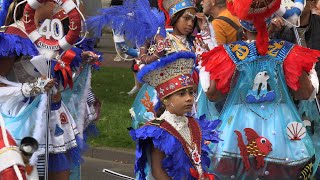 Zomercarnaval Rotterdam 2024 [upl. by Ailido]