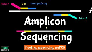 Amplicon Sequencing  Sequencing Of PCR Products  AmpliSeq [upl. by Loren786]