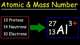 Atomic Number Mass Number and Net Electric Charge [upl. by Idissac]