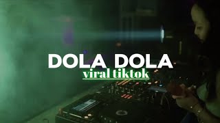 DJ DOLA DOLA REMIXJODY RMRTERBARU2024VIRAL TIKTOK [upl. by Ursal]