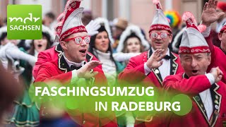 Faschingsumzug Radeburg 2024  „Filmreif RABU – Klappe die 67“  MDR [upl. by Terza]