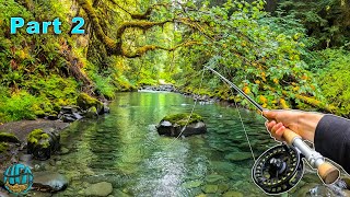 Fly Fishing in a RAINFOREST Washington [upl. by Nrubua169]