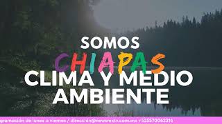 Somos Chiapas [upl. by Elehcim]