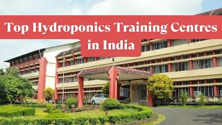 Best Hydroponics Training Centres in India [upl. by Okire]