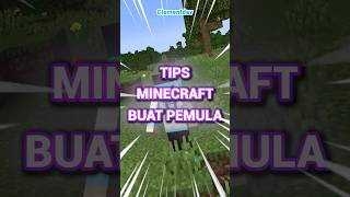 Tips Minecraft Buat PEMULA11 [upl. by Derron]