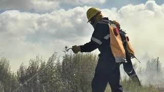 160 nuevos Bomberos zafrales para esta nueva temporada [upl. by Nemsaj]