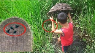 Net‌ Fishing‌ Betta  How to Net‌ Betta‌  Kampot Province  CAMBODIA‌ [upl. by Cost]