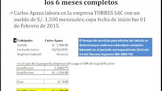 Ley 30334 – 10 Casos Prácticos de Gratificación [upl. by Esiom]