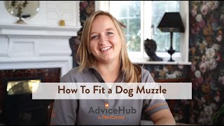 How To Fit a Dog Muzzle [upl. by Zandt789]