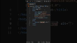 How to Use IMG Tag in HTML  Add Images to Webpages Easily shorts [upl. by Conley]