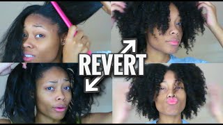 REVERT HAIR AFTER SILK PRESS  Twist Out Routine [upl. by Nahttam]