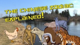 Chinese Zodiac Explained  Learn Chinese Now [upl. by Atirehs]