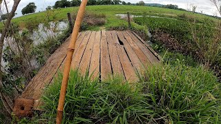 TODO CUIDADO É POUCO COM ESSAS PONTES a DOR VAI DE 0 a 100 EM SEGUNDOSpescaria [upl. by Ylra748]