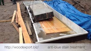 Antiblue stain treatment of pine timber [upl. by Pinter]