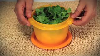 Tupperware One Touch Bowl [upl. by Enelyk]