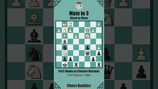 matein3 Nr 54  Pal C Benko vs Christer Hartman Troll Masters 1984 [upl. by Vanthe]