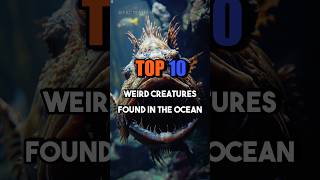 Top 10 Weird Creatures in the Ocean top10 [upl. by Pavel900]