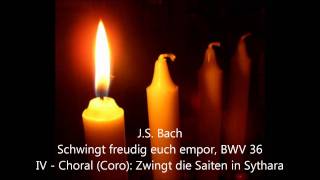 BWV 00364 Zwingt die Saiten in Cythara [upl. by Terrance]