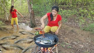 Found many catfish in the rainforest for food Cooking catfish with chili sauce for dinner [upl. by Simson146]