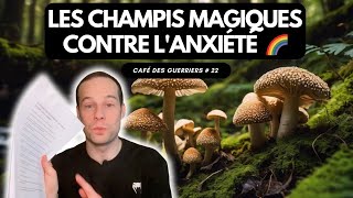 Les champignons hallucinogènes  une solution “magique” contre l’anxiété [upl. by Donavon]