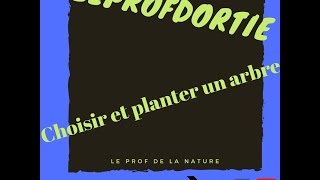 Comment choisir et planter un arbre partie théorique zeprofdortie [upl. by Cutlip]