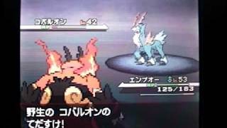 Catching Cobalion in Pokémon Black [upl. by Eseela]