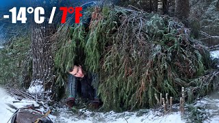 I Found This Shelter in a 14°C WINTER FOREST❄️ Camping in Freezing Finland NordicVentures [upl. by Fulton31]